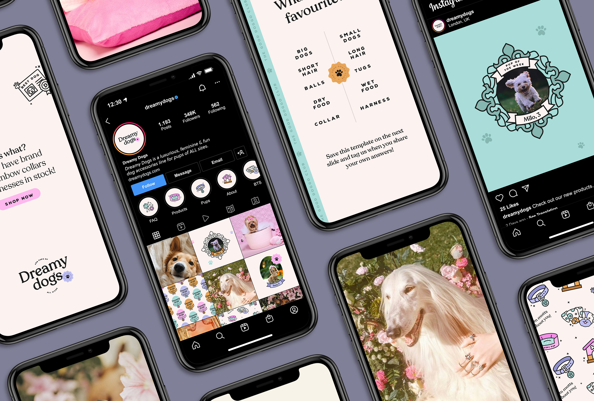 Instagram strategy for Dreamy Dogs, for pups of all shapes and sizes - designed by Wiltshire-based graphic designer